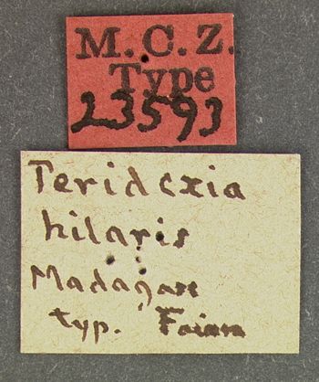 Media type: image;   Entomology 23593 Aspect: labels